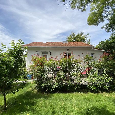 The Little Oak - Tiny House With Bed On Mezzanine & Terrace - From 1 To 4 P Disney, Paris & Cdg Pomponne Exterior photo